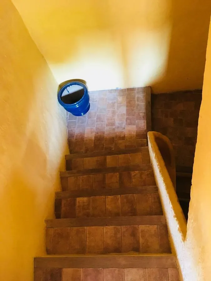 Appart Suquet Avec Terasse Vue Mer Cannes Apartman